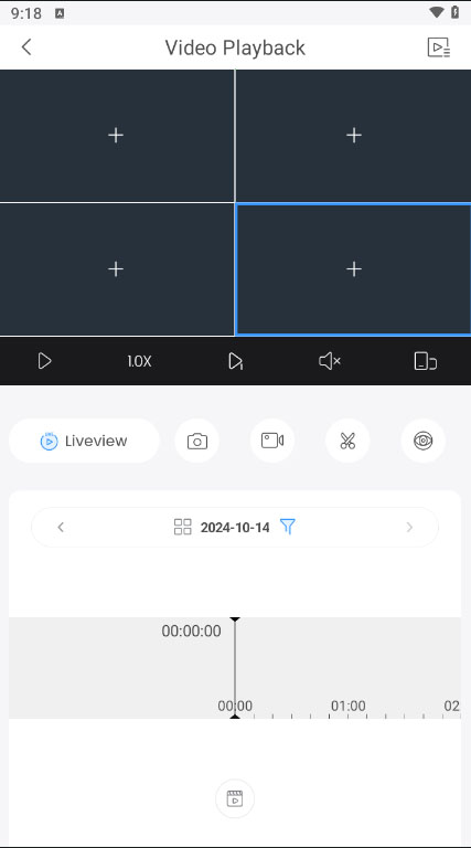 Video Playback Main Form 